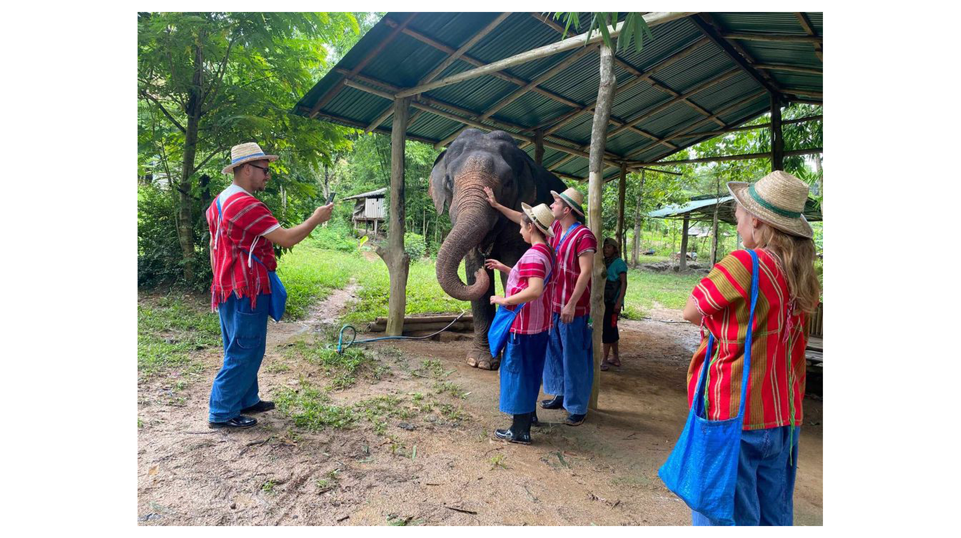 Half day elephant (EL1/2)
