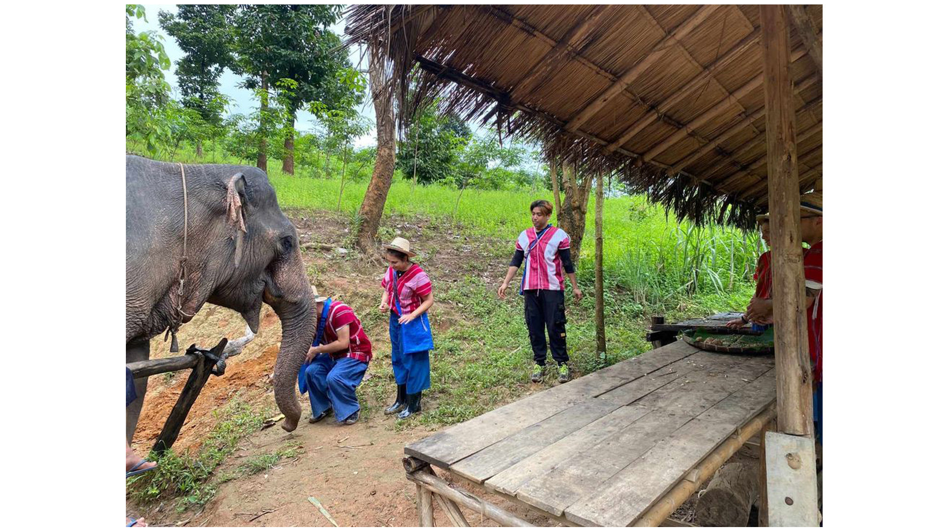 Half day elephant (EL1/2)