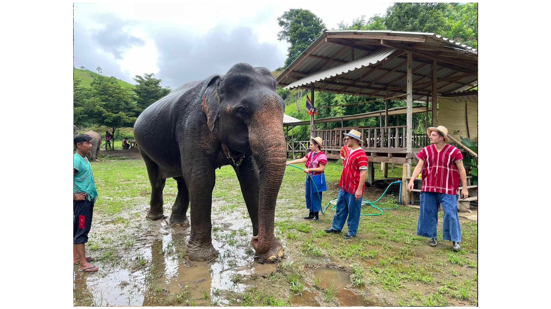 Half day elephant (EL1/2)