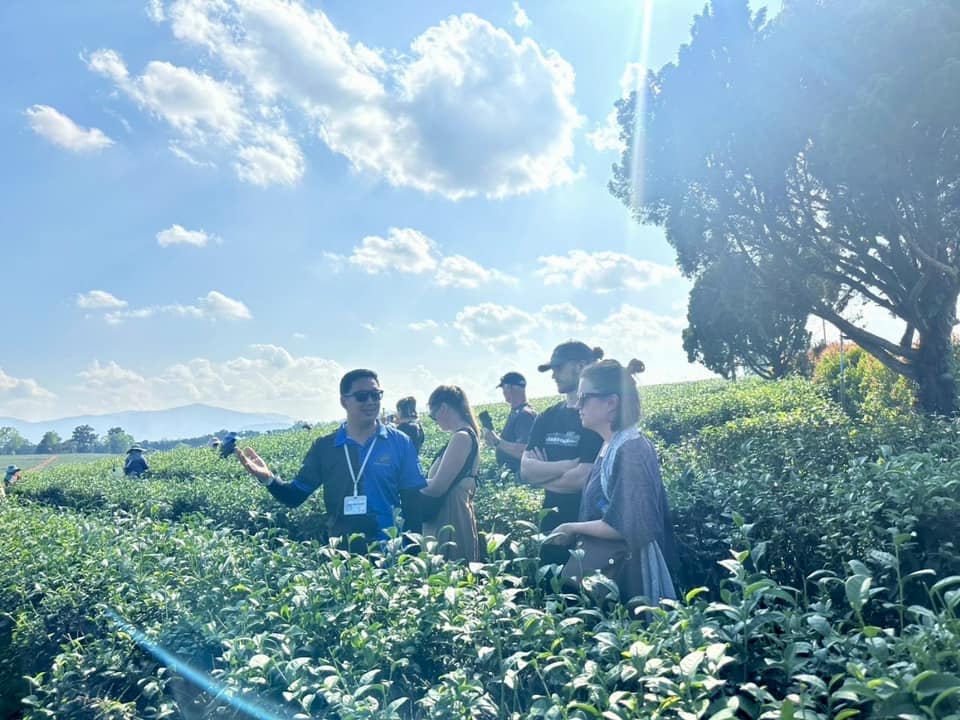 Sightseeing Join tour