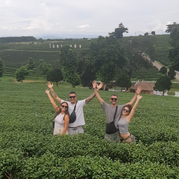 Choui Fong Tea Plantation