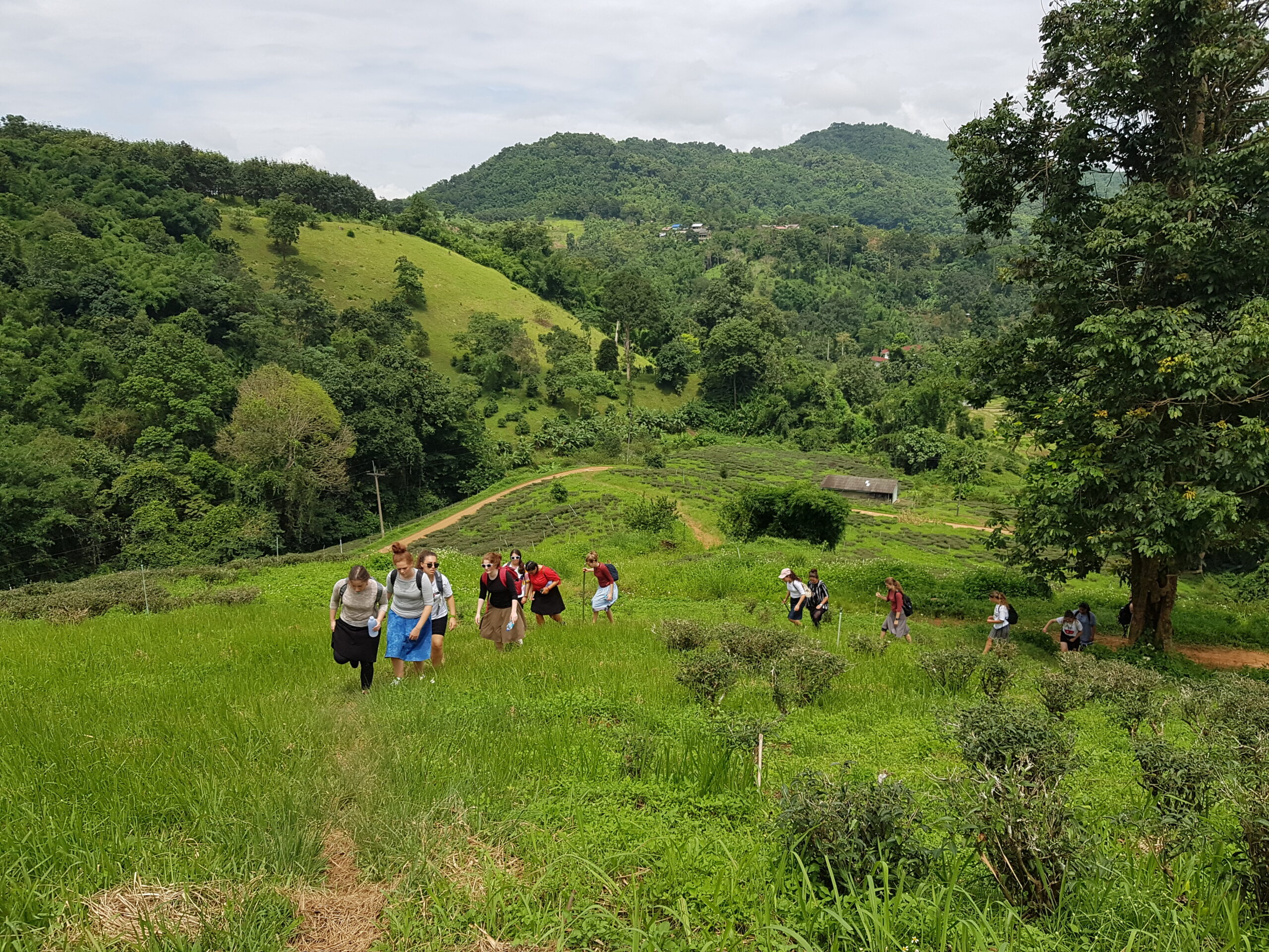 Jungle Trek Day 1