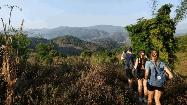 Trekking di un giorno nella giungla di Chiang Rai