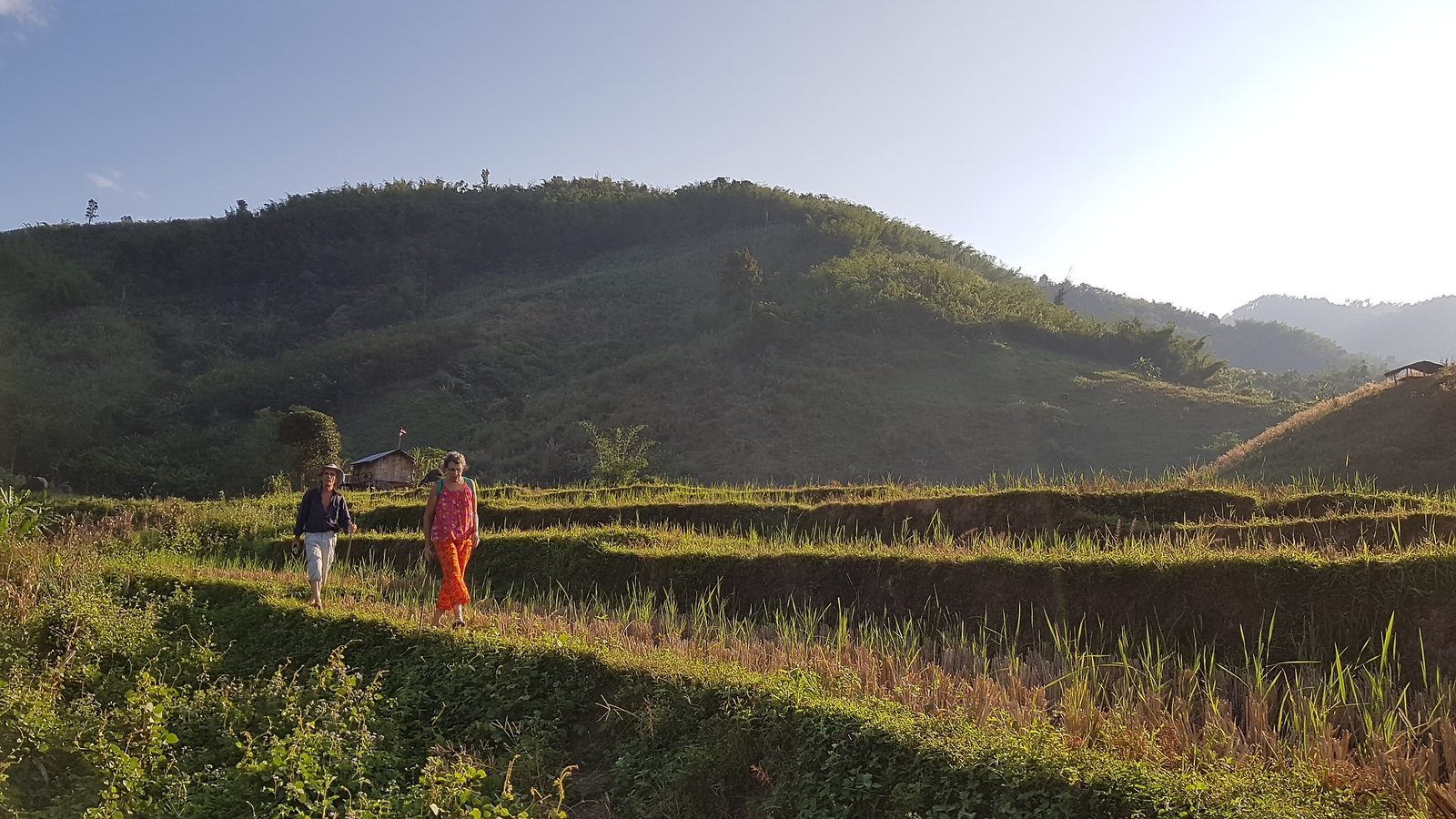 Walking out through the rice terraces in the Chiang Rai hills